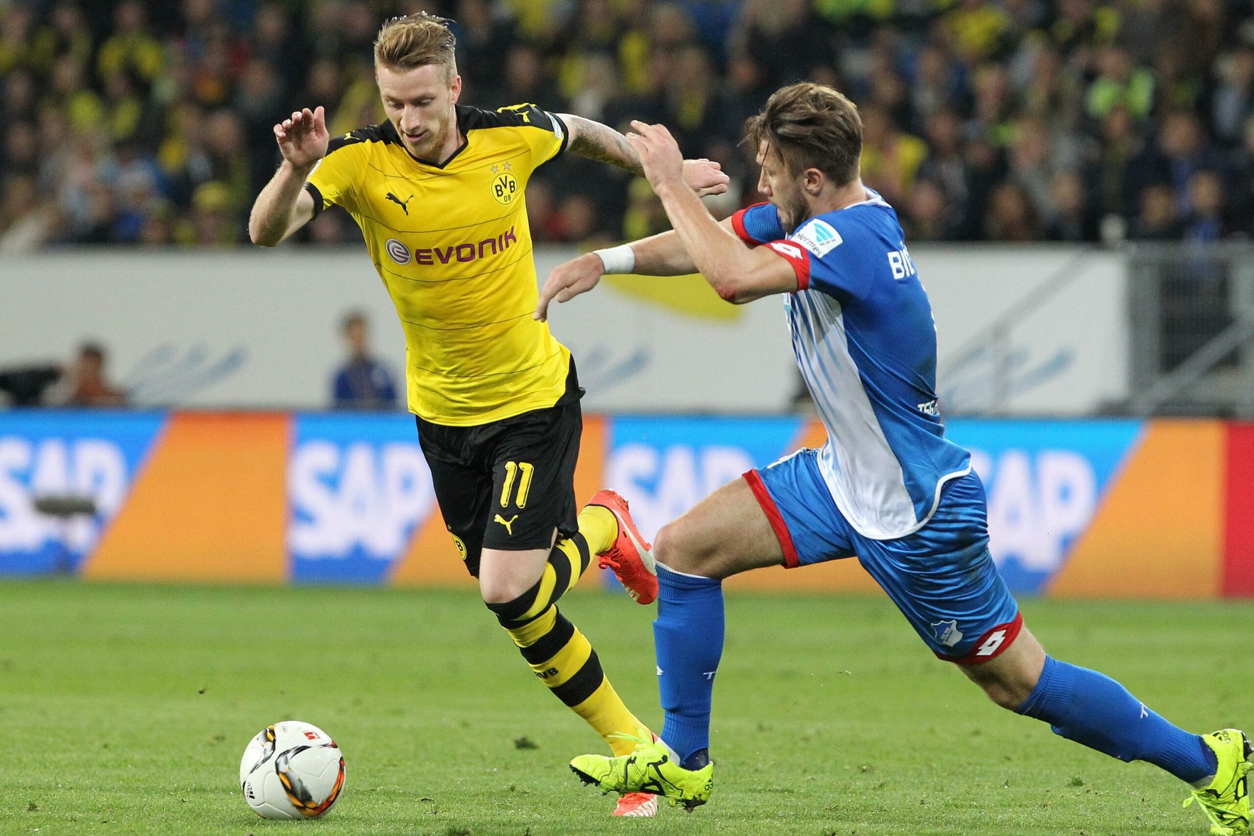 nhan-dinh-soi-keo-dortmund-vs-hoffenheim-luc-23h30-ngay-15-12-2024